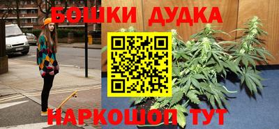 гидра Тара