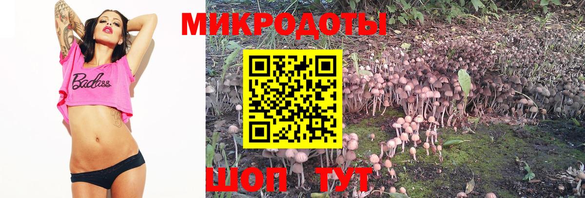 Псилоцибиновые грибы Psilocybine cubensis  Вход с VPN  Белгород 