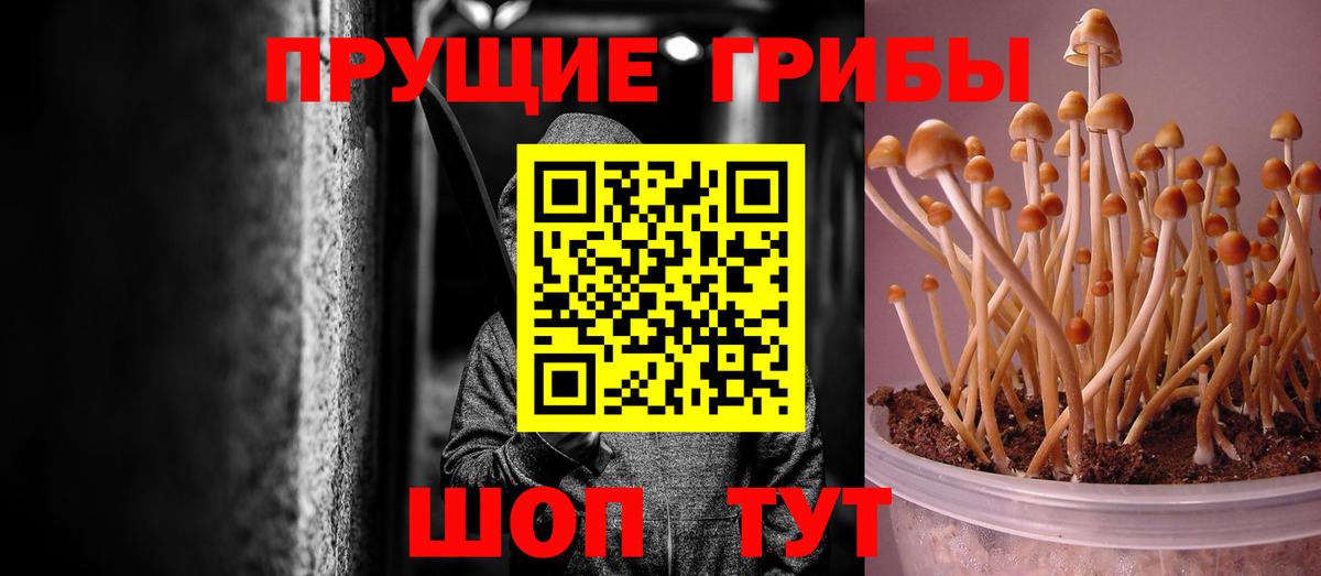 Псилоцибиновые грибы прущие грибы Белгород